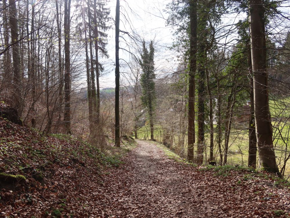 Waldweg