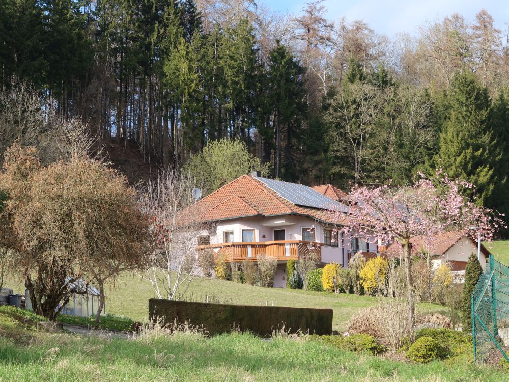 Haus in Zizenhausen