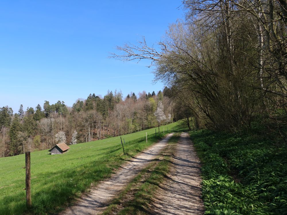 Riedenstrasse