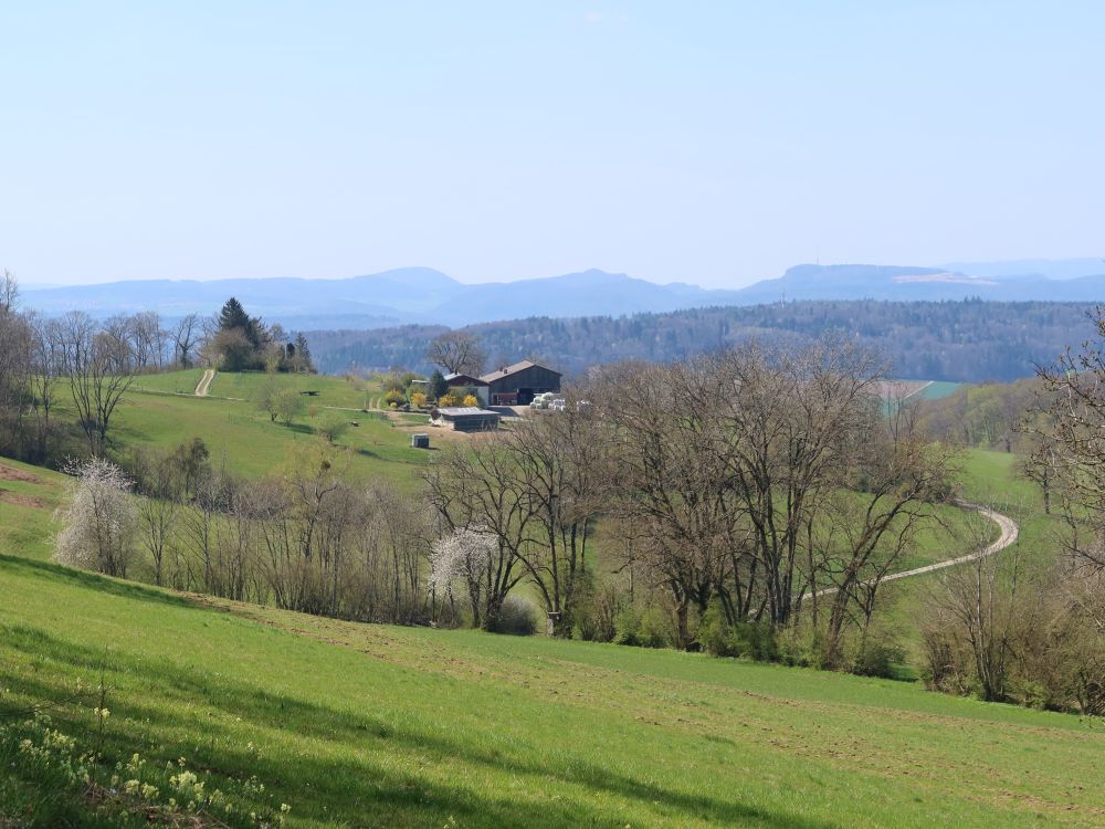 Blick Richtung Expohof