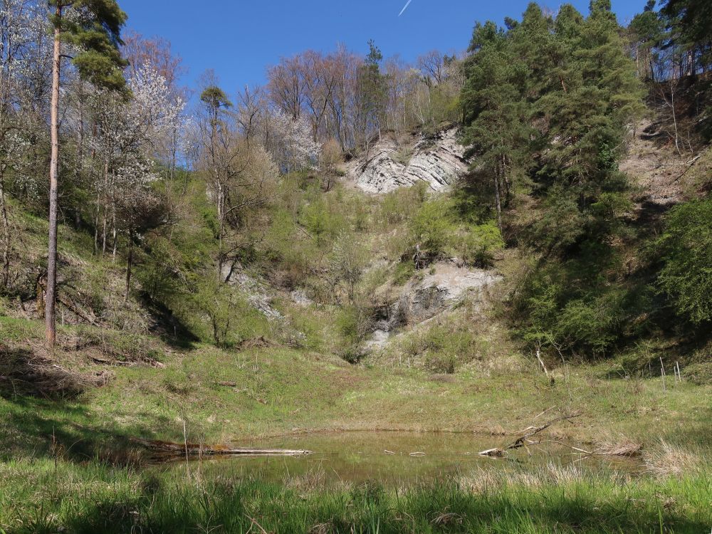 Teich unter Malzhalde