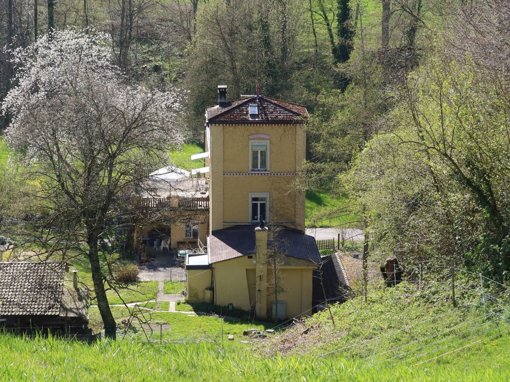 Haus bei Judeweid