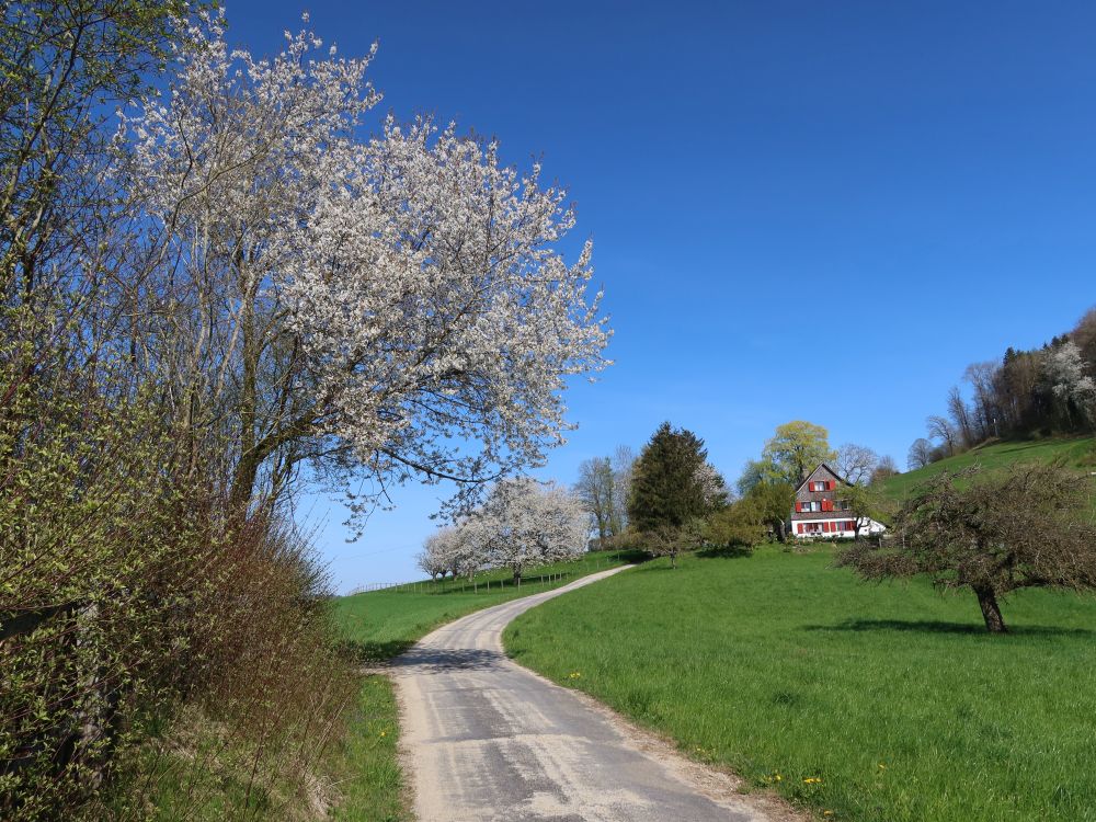 Weidstrasse