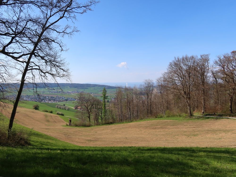 Ankechübel