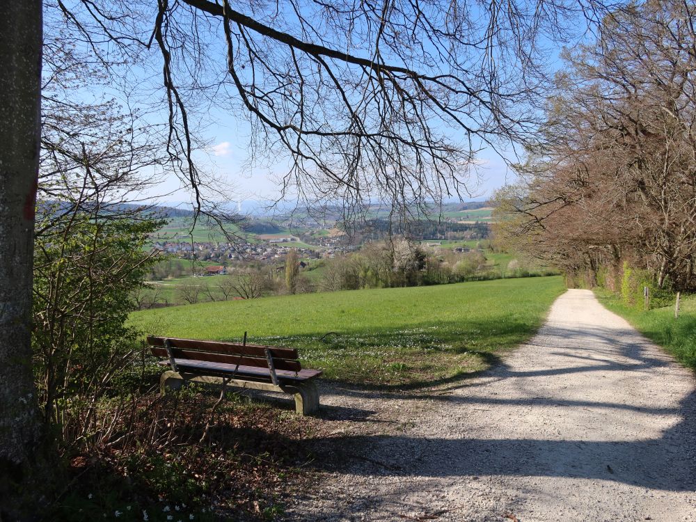 Sitzbank am Fuchshölzli