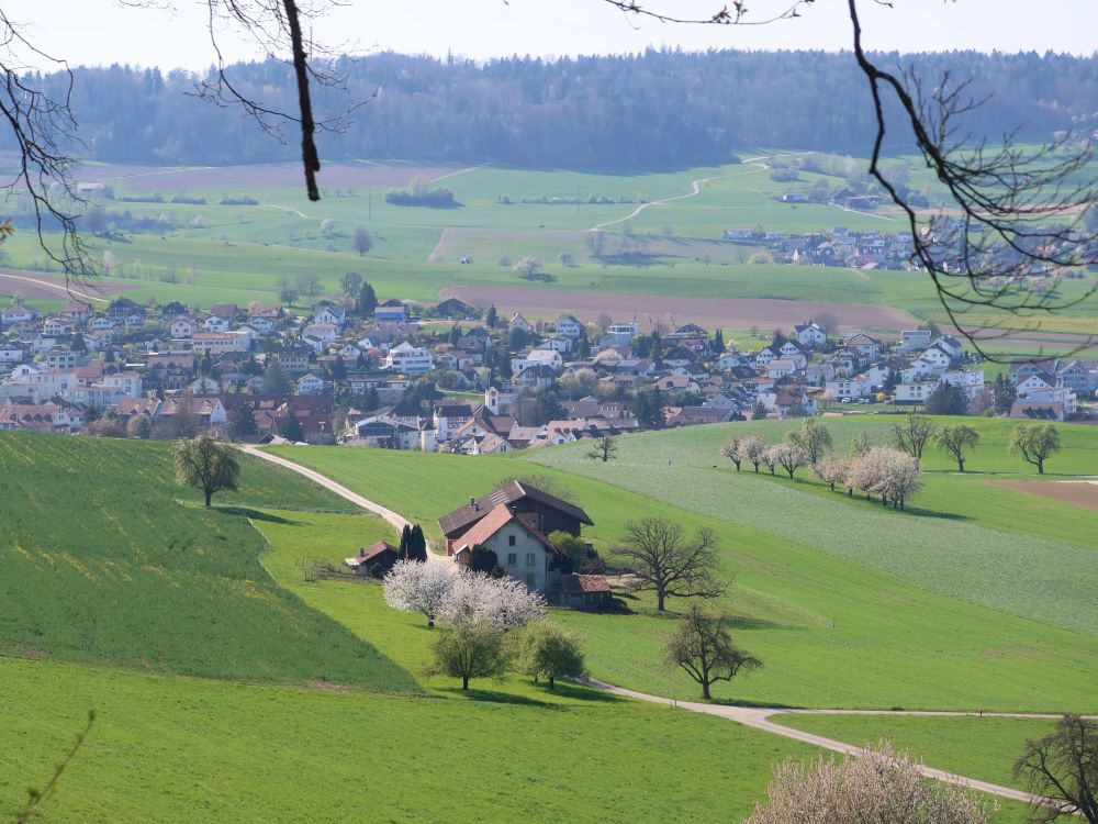 Blick Richtung Ehrendingen