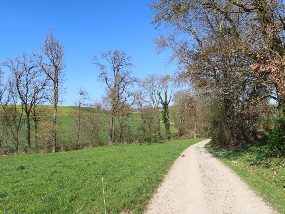 Herrlichkeit