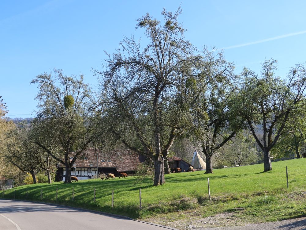 Bauernhof bei Guggach