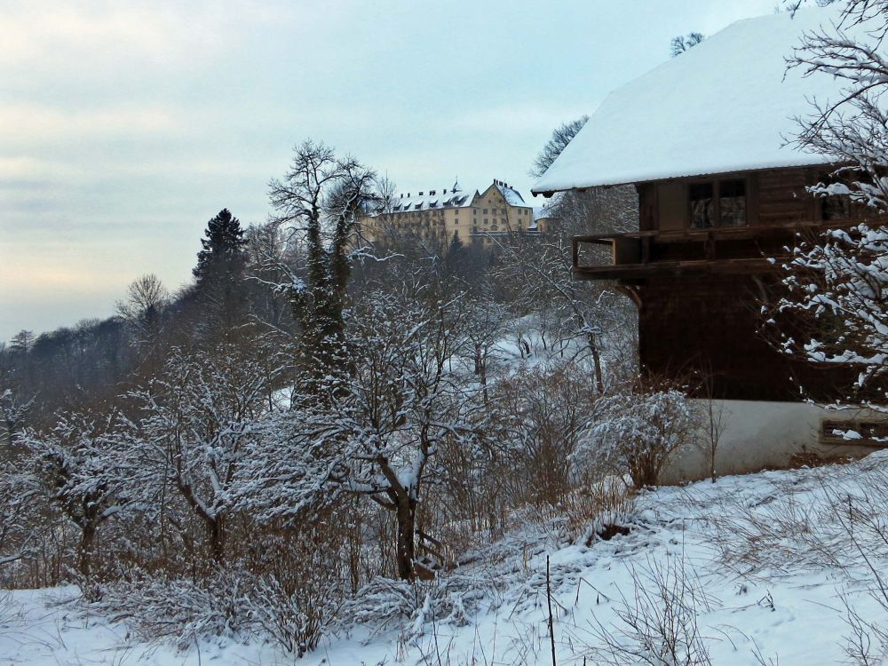 Blick zum Schloss Heiligenberg