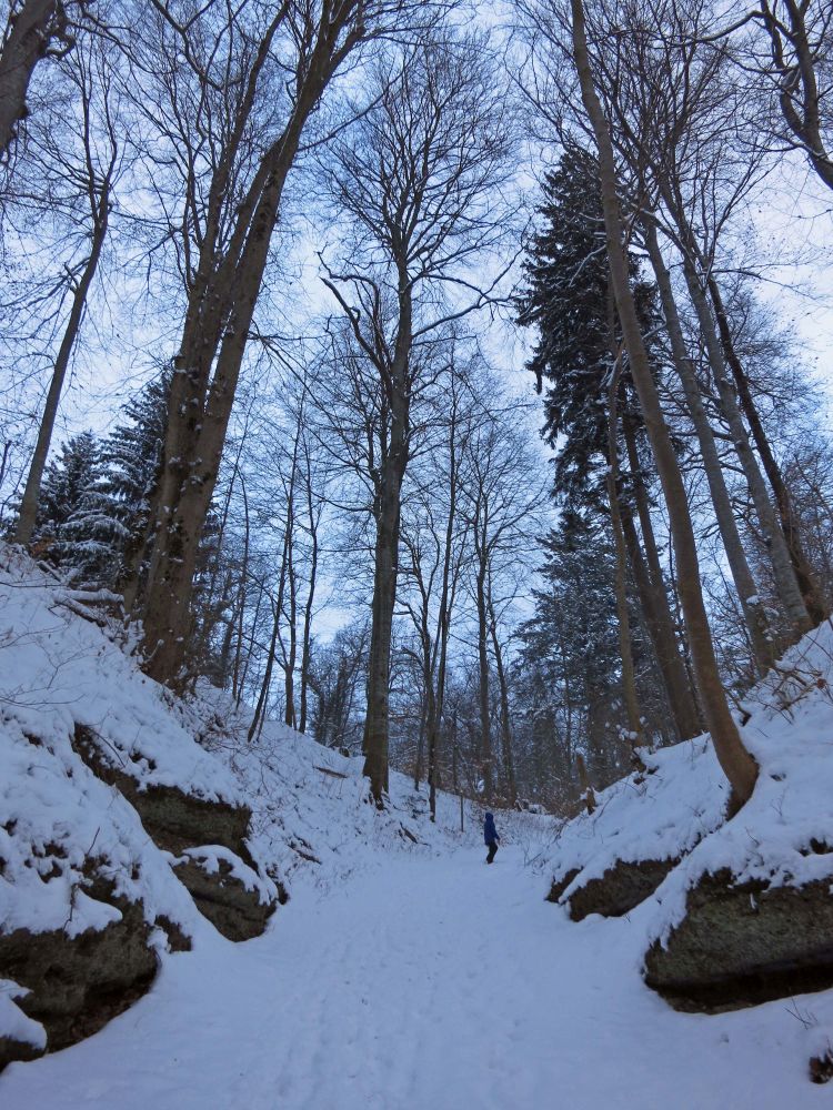 Weg zum Schweizerhaus