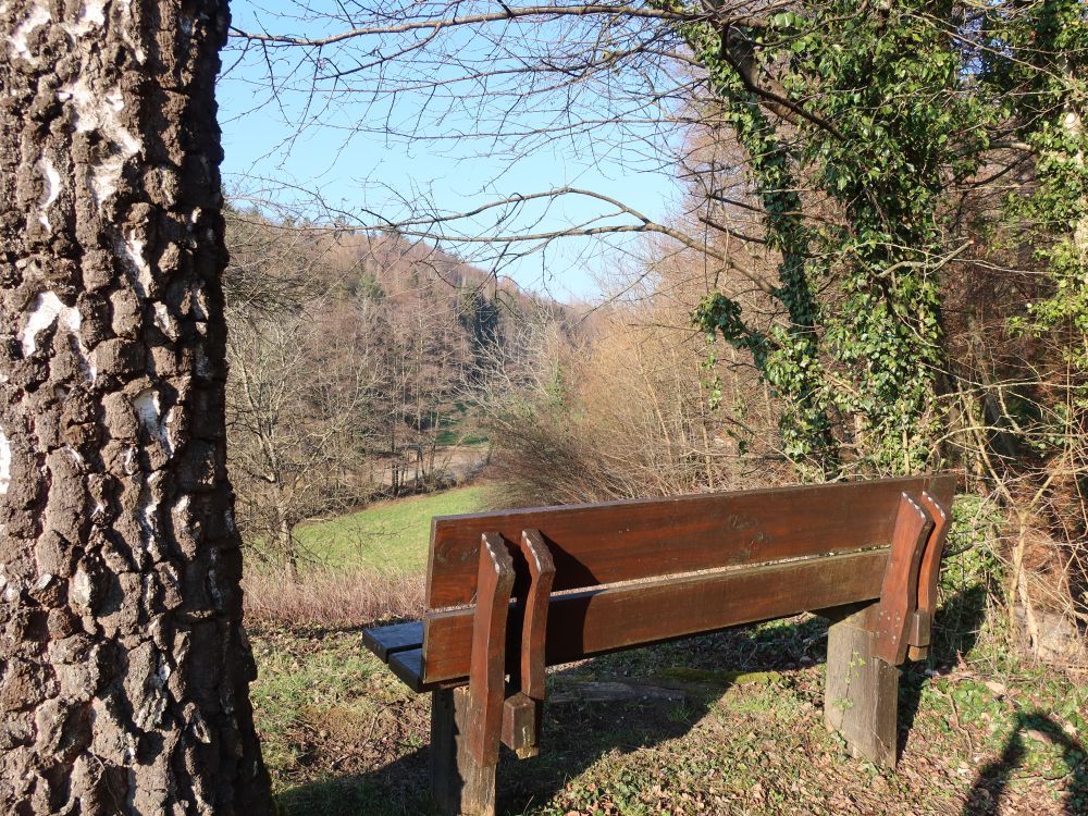 Sitzbank mit Blick in den Frauengrund