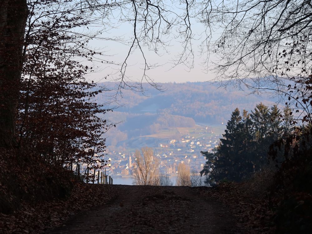 Steckborn am Untersee