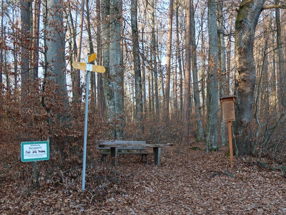 Sitzgruppe am Hasenweg