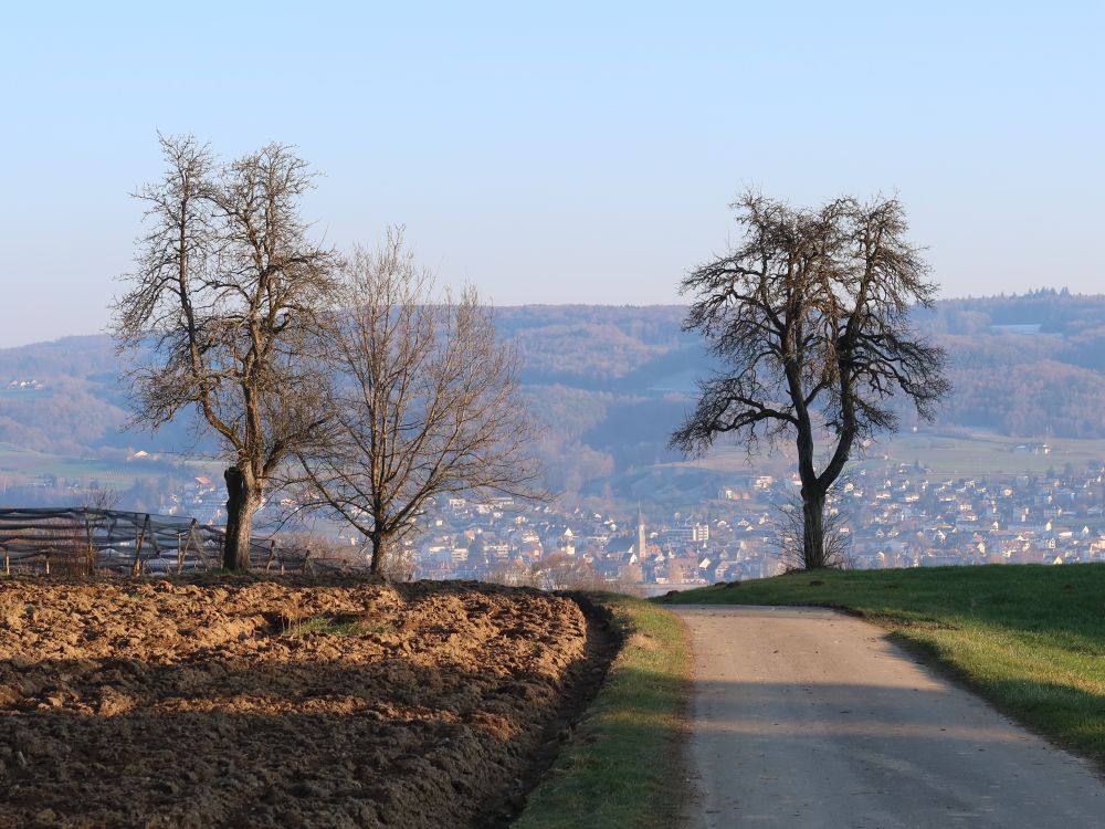 Blick vom Hasenweg Richtung Steckborn