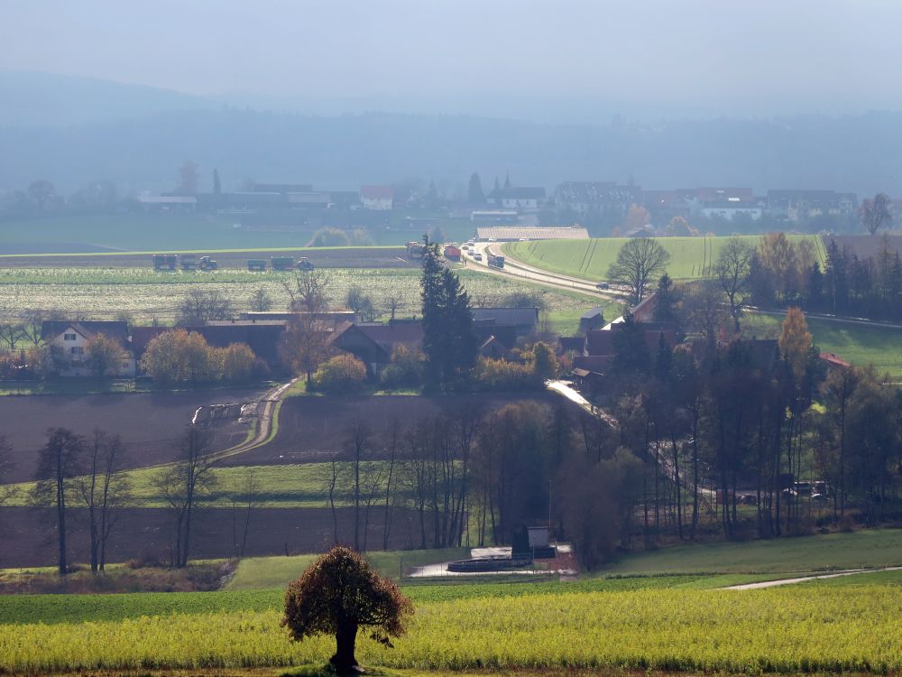 Weckingen und Weiningen im Dunst