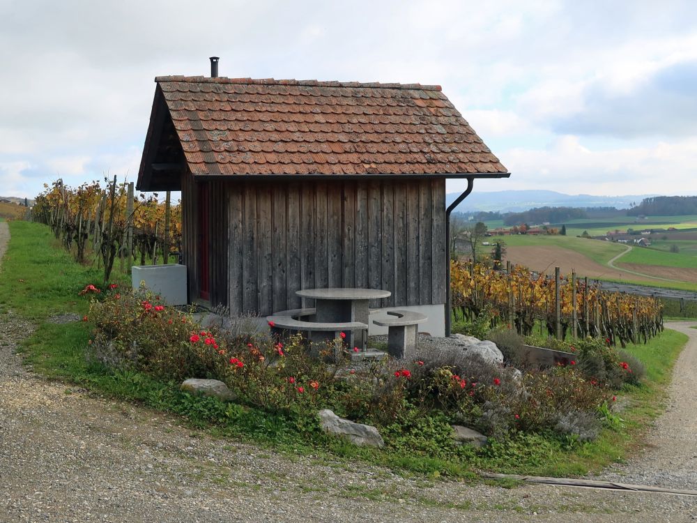 Weinberg-Hütte