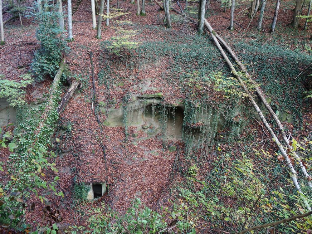 Höhle in Staanegger Tobel