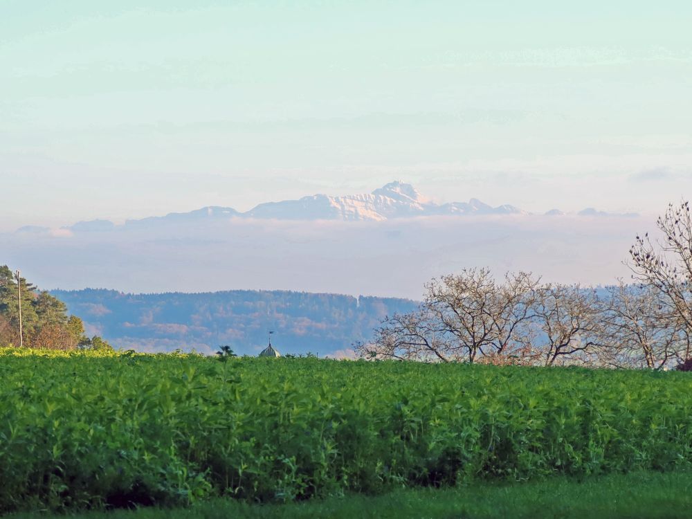 Säntis