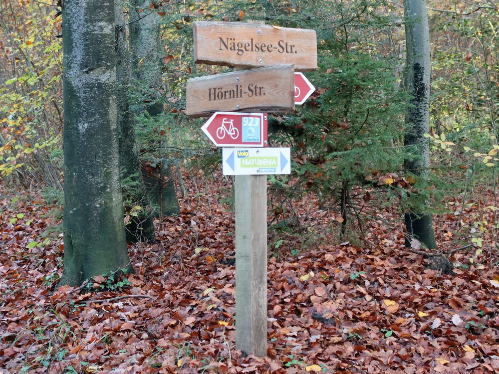 Wegweiser