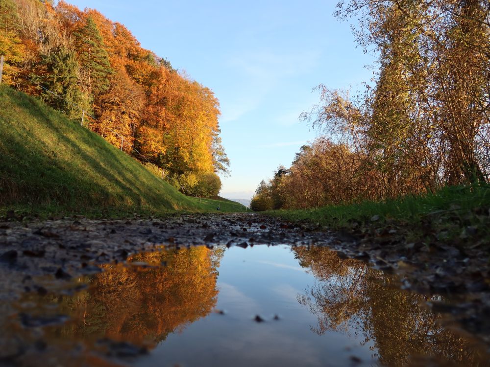 herbstliche Spiegelung