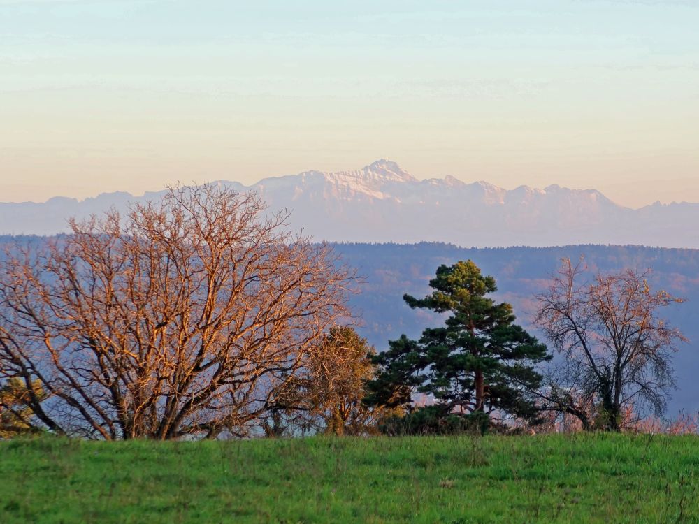 Säntis