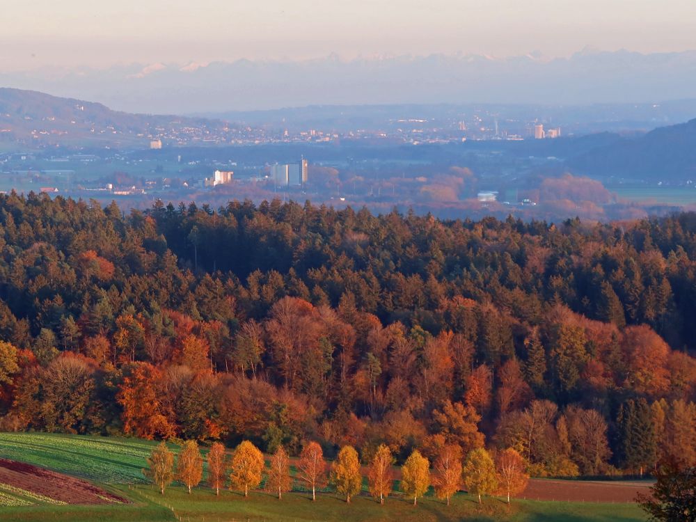 Frauenfeld und Alpen im Dunst