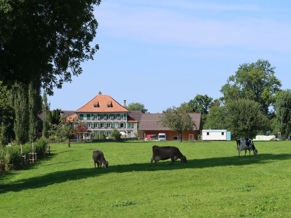 Schochenberg