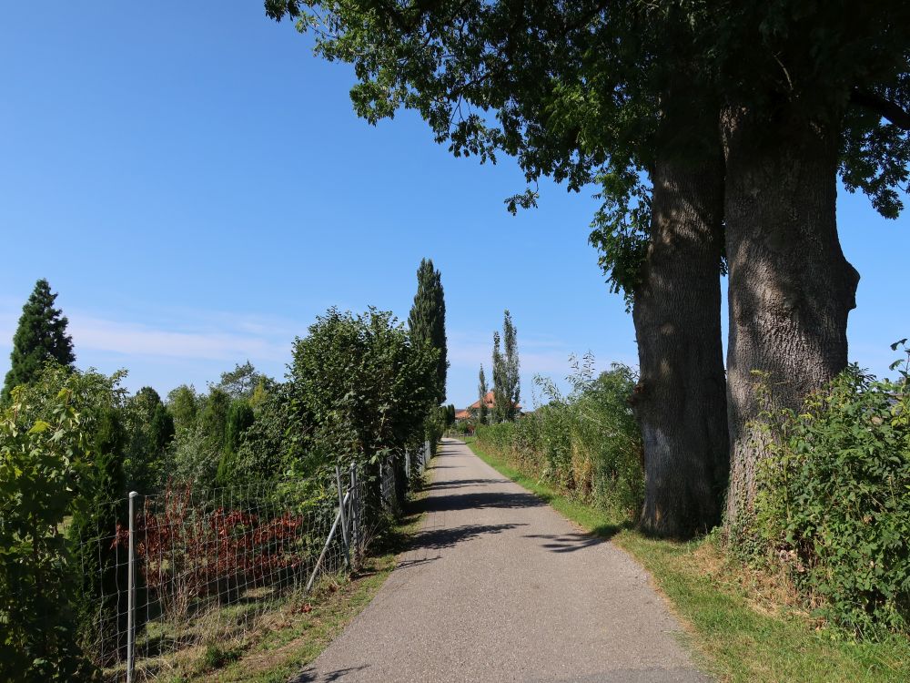 Weg zum Bauernhof Schochenberg