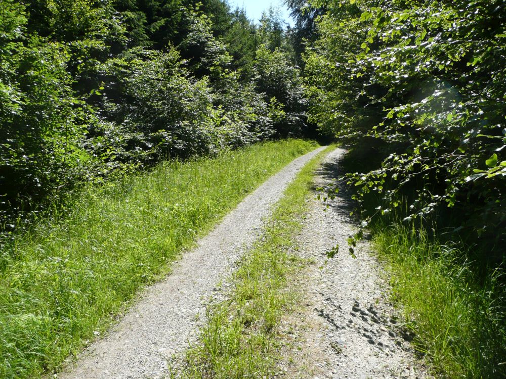 Landwirtschaftsweg