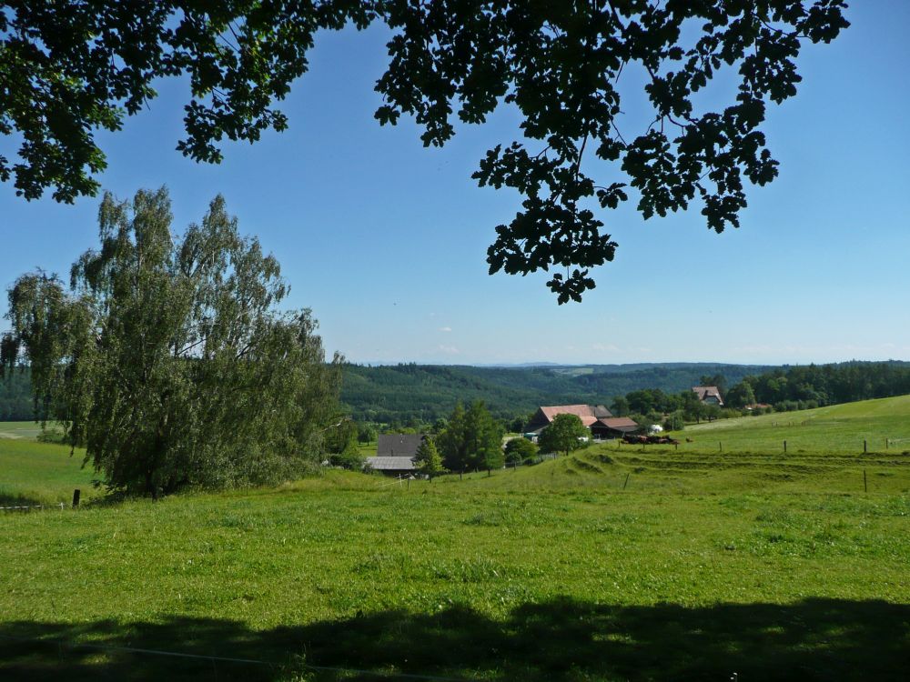 Blick über Oberwald