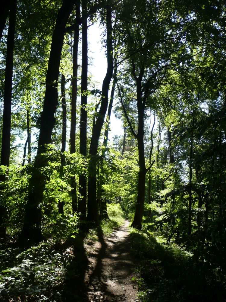 zwischen Herrentisch und Chroobachhütte