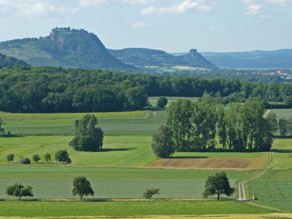 Hohentwiel und Hohenkrähen