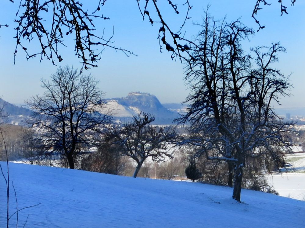 Blick zum Hohentwiel