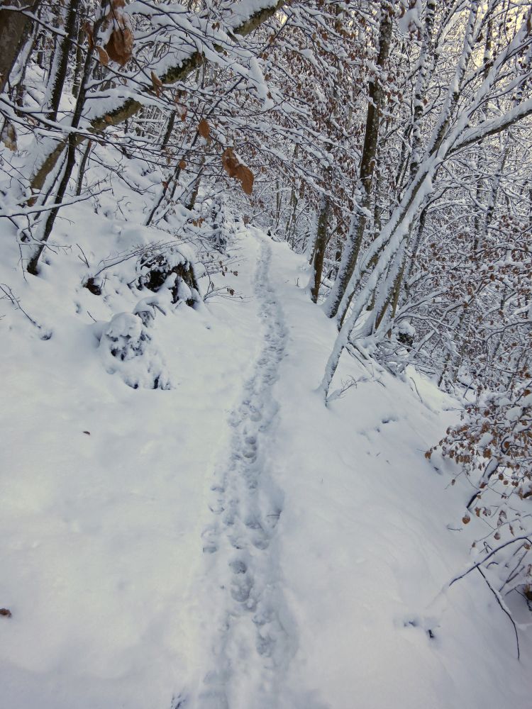 Abschnitt Serpentinenweg