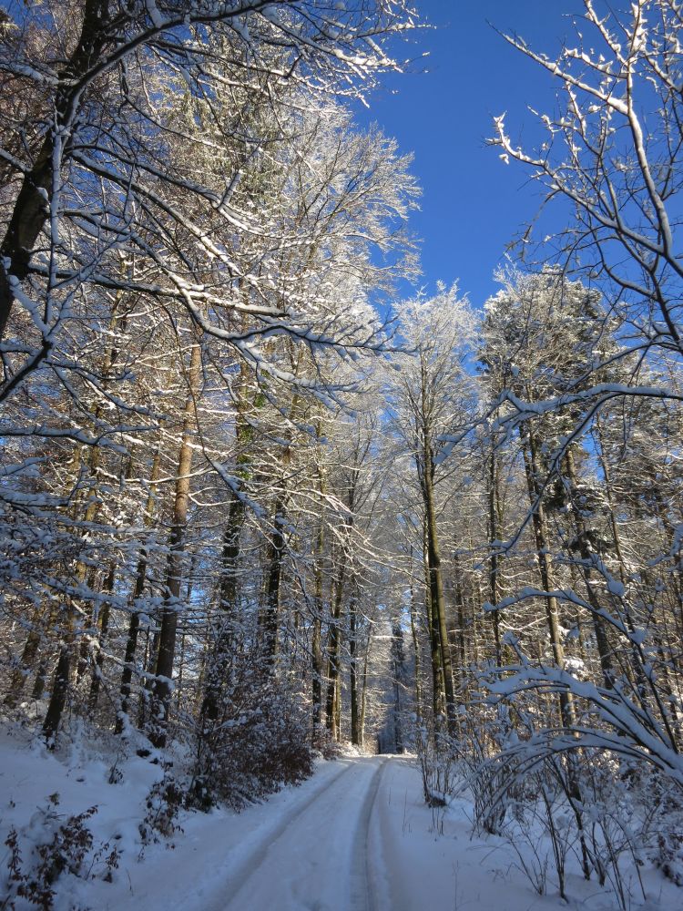 Fortsweg am Chroobach