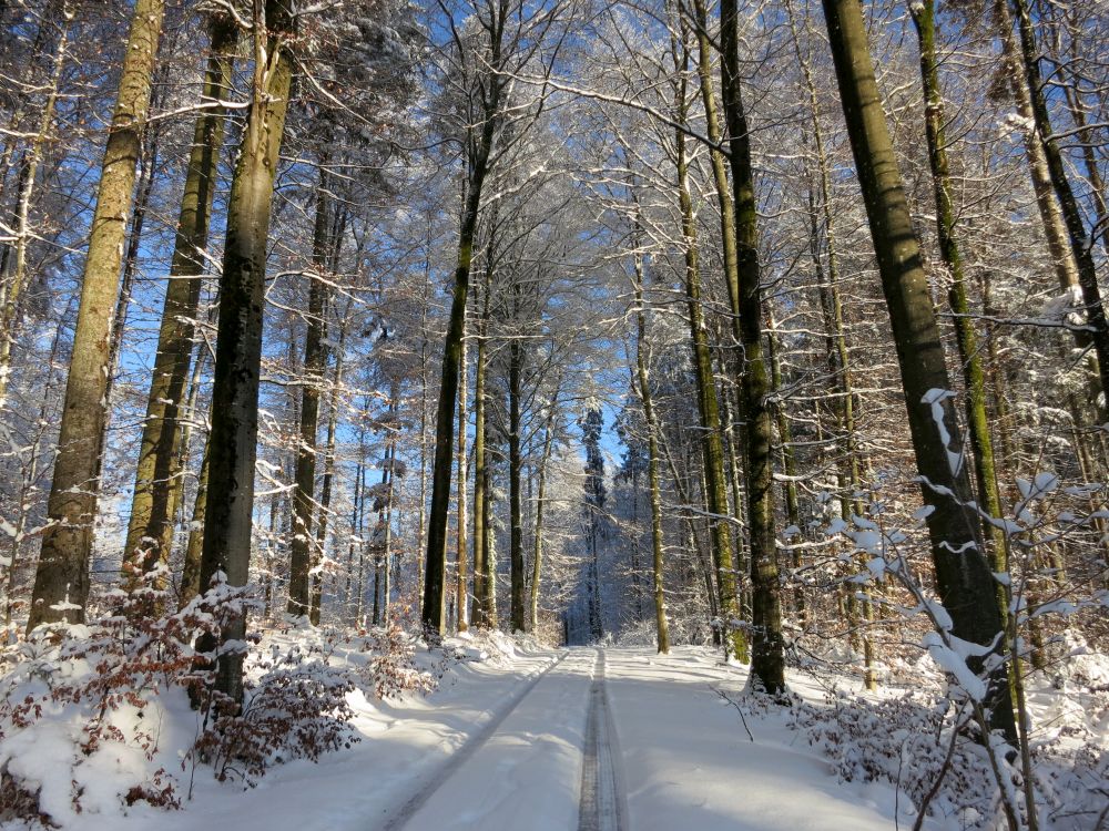 Fortsweg am Chroobach