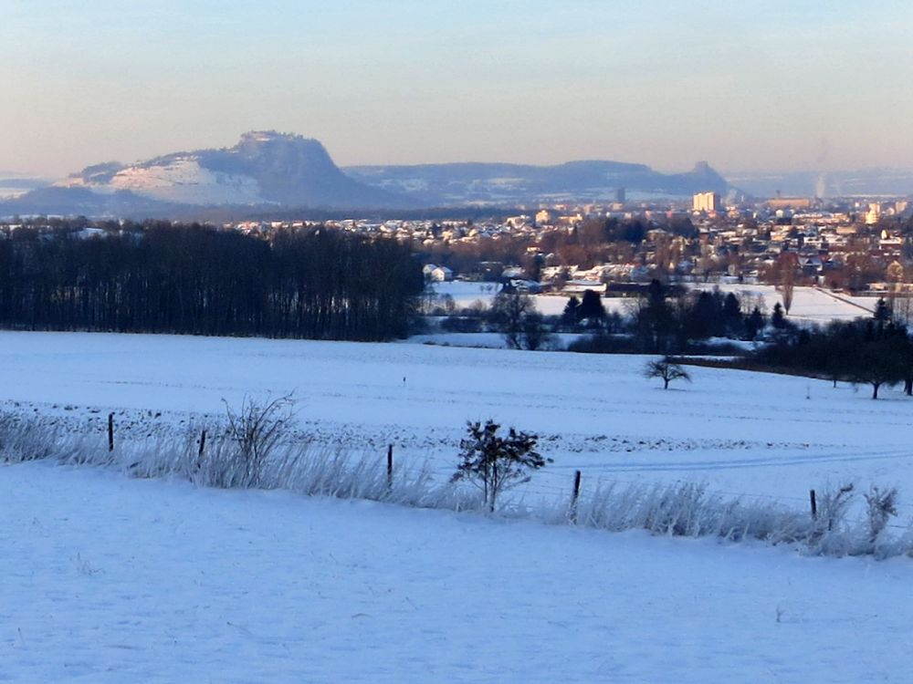 Blick zum Hohentwiel