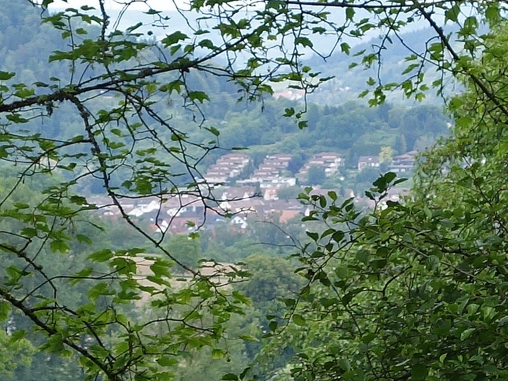 Blick Richtung Rielasingen