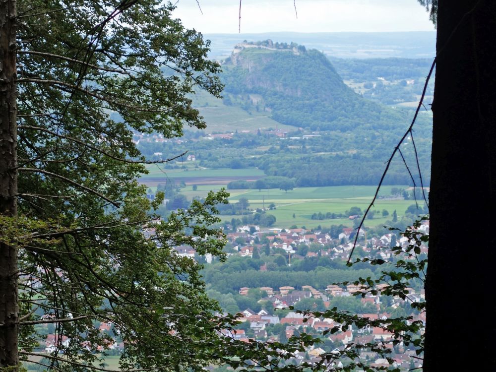 Blick zum Hohentwiel