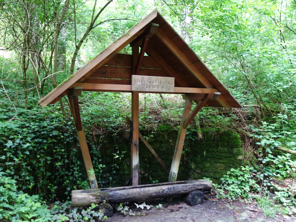 Hirschenbrünneli