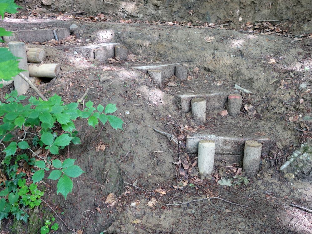 Treppe am Serpentinenweg