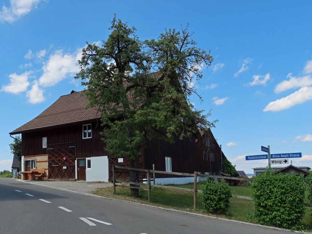 Haus in Unter Tuttwil