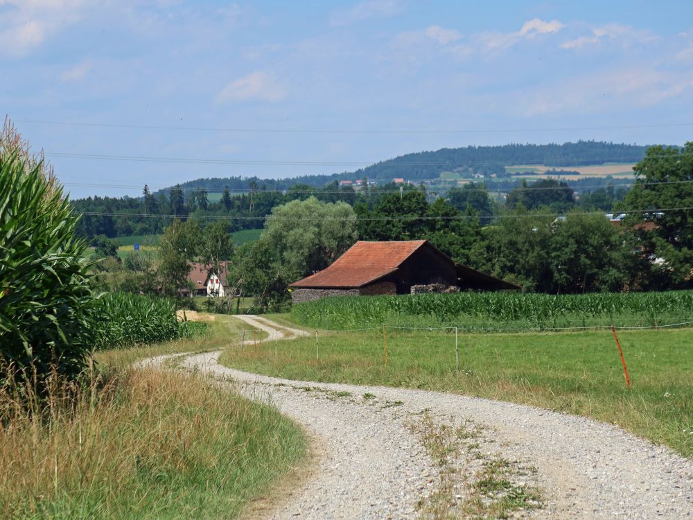 Schuppen bei Chabis