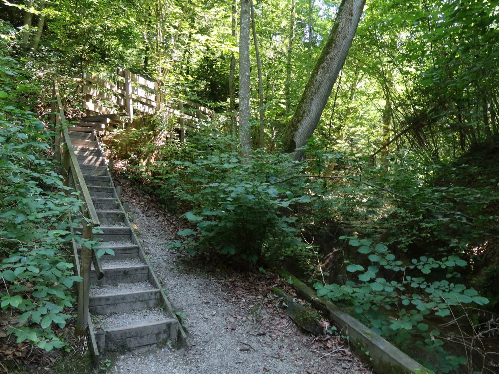 Treppe im Hexentobel