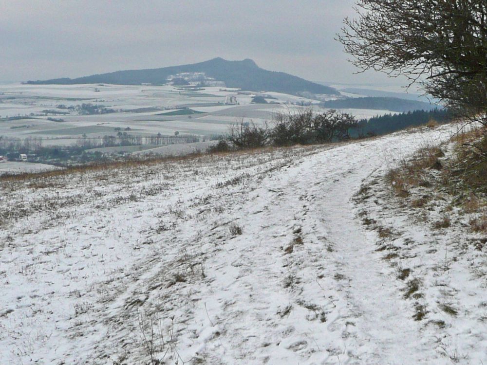 Hohenstoffeln (832m)