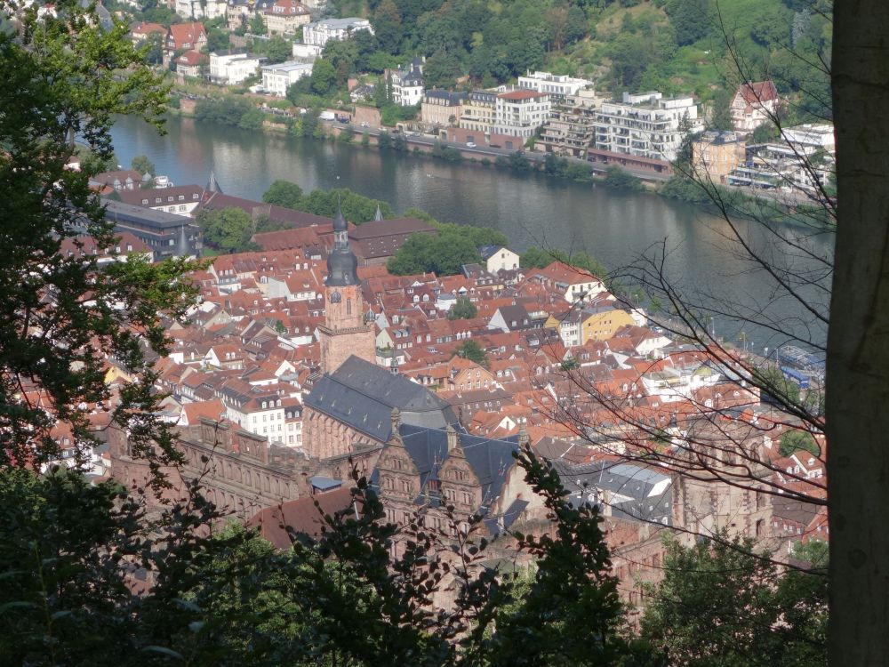 Neckar und Heiliggeistkirche