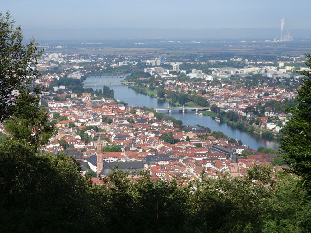 Heidelberg und Neckar