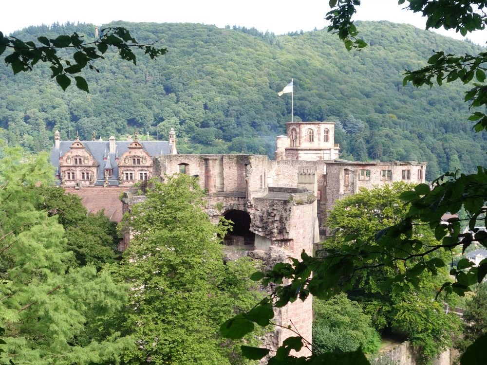 Schloss Heidelberg