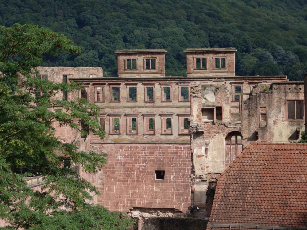 Schloss Heidelberg