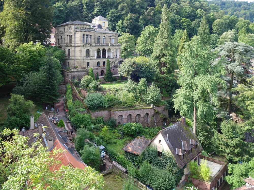 Blick vom Stckgarten